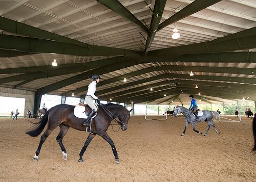 Covered equestrian arena with horses and riders